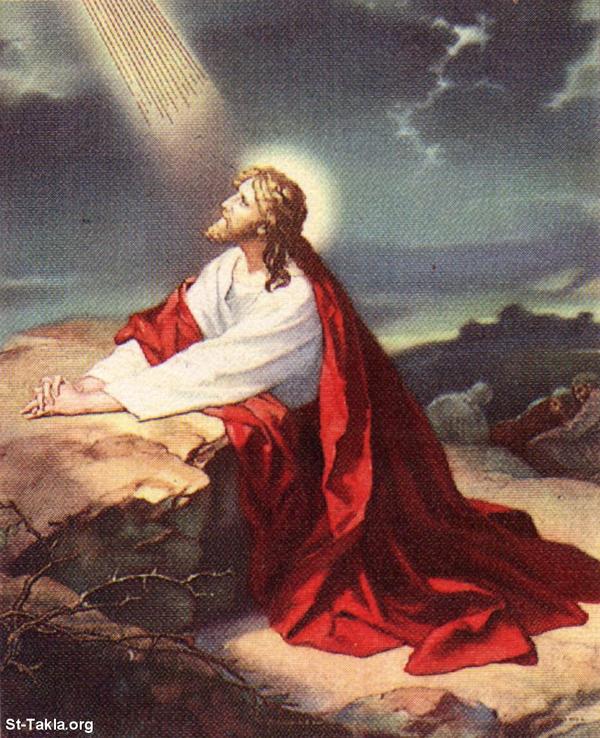 Why Did the Lord Fast for Forty Days?